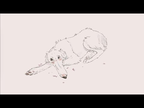 didn't I do it for you