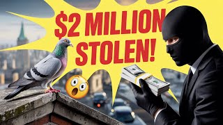 This $2 Million Pigeon Was Stolen by the Chinese Mafia