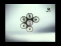 Coca Cola Commercial 2002