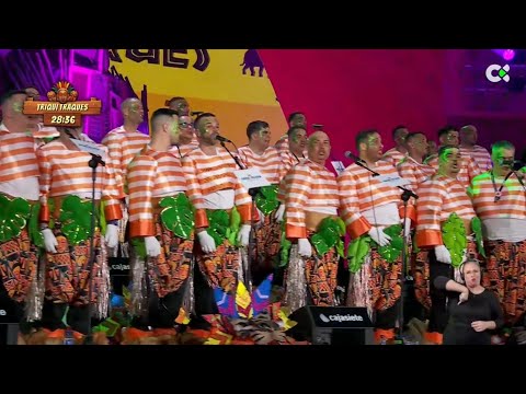 Murga Afilarmónica Triqui Traques 2025 | 2ª Fase de Murgas Adultas de Santa Cruz de Tenerife
