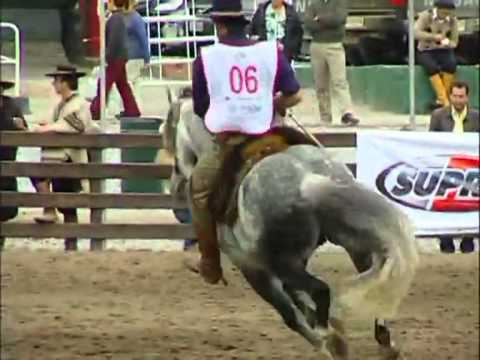 Marcelo BERRUTI (nota editada con imágenes)