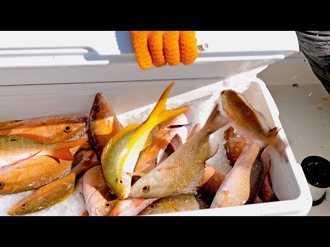 Fishing for Christmas Dinner in the Bahamas using Hand Lines - 4K