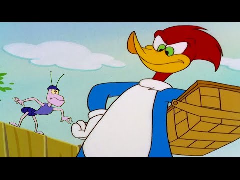 Capa de Invasão no Piquenique! | Pica-Pau em Português