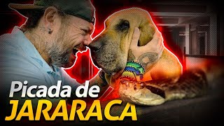 Miniatura do vídeo