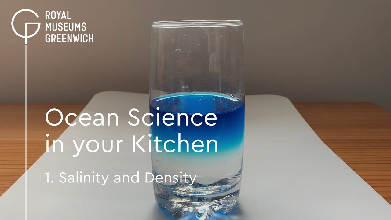 Ocean Science In Your Kitchen | Salinity & Density