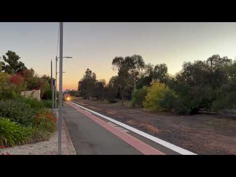 SSR Train with RailPower CLF2, CLF4 and 48s36, 48s33