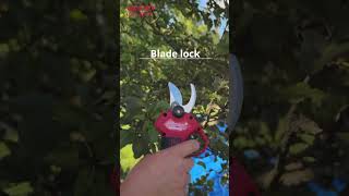 Cordless pruner WORTEX CBS 2030-1