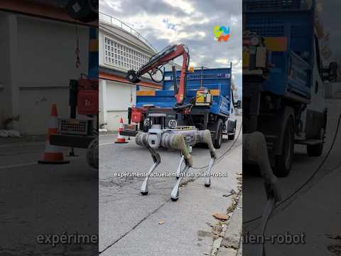 🤖 Un chien-robot inspecte les égouts marseillais !