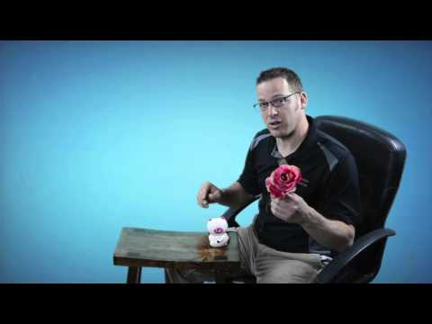 "From Such Turn Away."