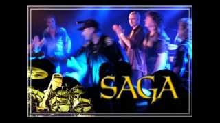 Saga &quot;mouse in a maze&quot;