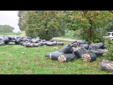 2017-02-25 PRATO - POLIZIA PROVINCIALE, CRESCE IL NUMERO DEI REATI