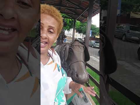 Passando pela cidade de Piumhi MG 