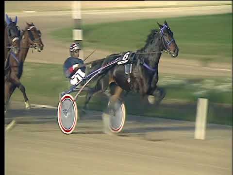 Trotto 10/11/2017 - 5ª corsa