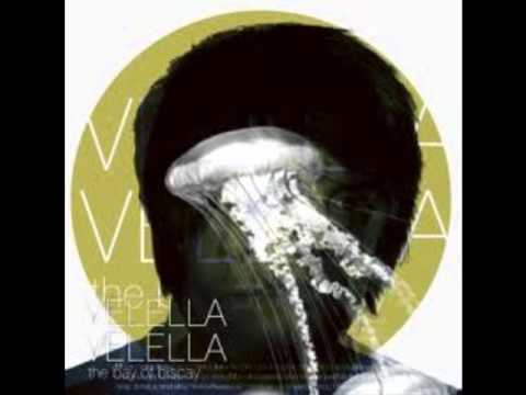 Velella Velella - Hunter