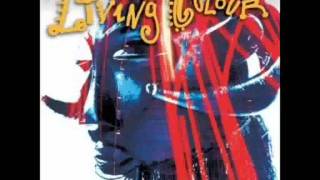 Living Colour - Funny Vibe (with lyrics)