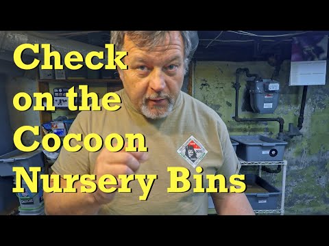 Worm cocoon nursery bins roundup - vermicompost