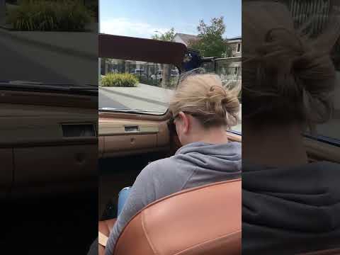 Thumbnail for Driving the 1941 ford to dinner by 1941 Ford