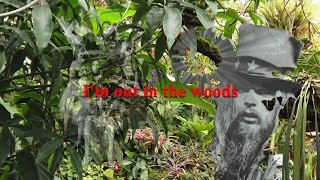Out in the Woods Leon Russell (with lyrics)