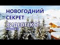 Караоке Новый год песня "Всё сбудется" ("Новогодний секрет") - плюсовая ...