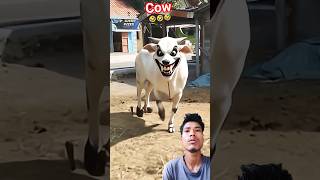 Download lagu Cow was Honor 🤣🤣 #videolucu #funny #lucu #monster mp3