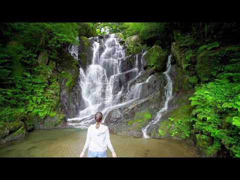 白糸の滝＠福岡県糸島市【福岡県観光紹介ショートムービー】