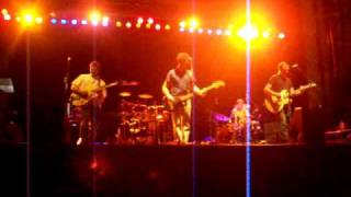 Guster Blue/Red Oyster Cult