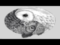 [Tech House] Yotto - The Owls  (Radio Edit)