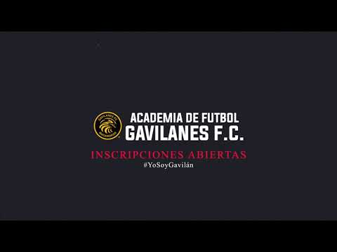 ACADEMIA DE FUTBOL GAVILANES FC