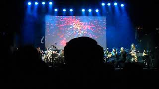 Archid Orange Dwarf, by Hannah Peel from Mary Casio at Celtic Connections