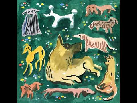 Sutja Gutierrez -  A Trap for Fools