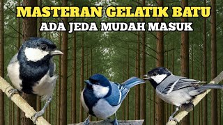 Download lagu 🟢AUDIO SUPER JERNIH MASTERAN BURUNG GELATIK BATU||ADA JEDA MUDAH MASUK mp3