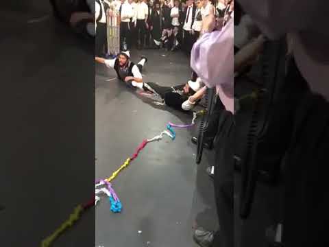 The Twins Of France Reincarnate?