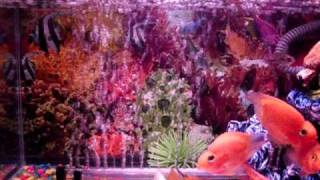 CIMG0089.AVI