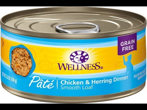 Wellness Grain Free Canned Cat Food: Don't Buy It!
