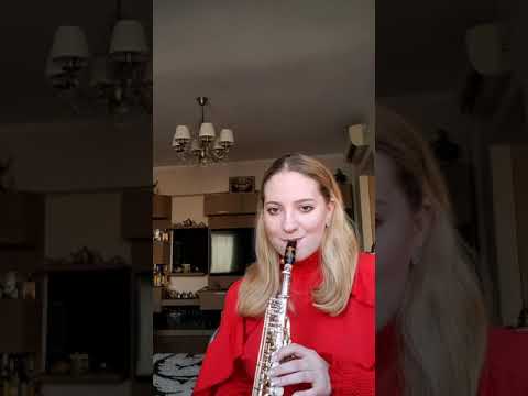 Mariah Carey - Without You ( Soprano Saxophone Cover )