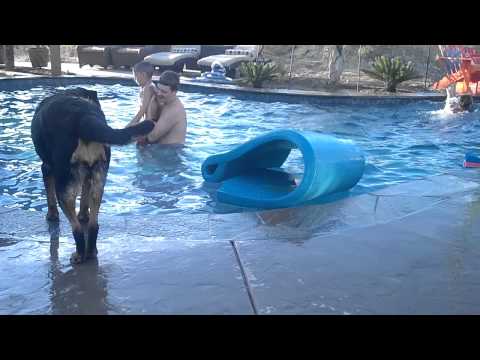 Jerrin thinks he can run with the big dogs!