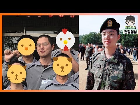 아이콘