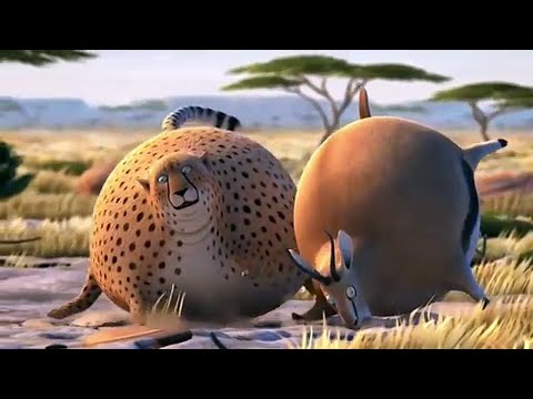 Komik Şişman Hayvanlar - Animasyon Kısa Film / Best Videos