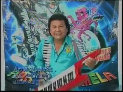 Alfredo y sus teclados el Pulpo - Arrinconamela