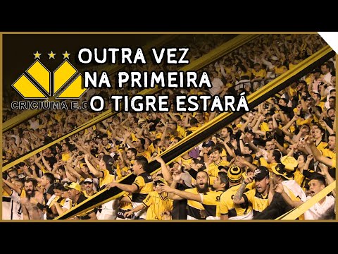 OUTRA VEZ NA PRIMEIRA O TIGRE ESTARÁ ♪ - Criciúma (Os Tigres)
