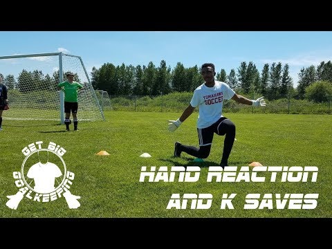 Reaction Hand Save Session B - 5/18/2019