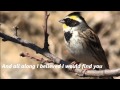 A Thousand Years  - Christina Perri  。   Birds pictures