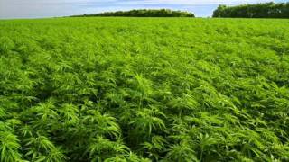 Shudder To Think - Speak