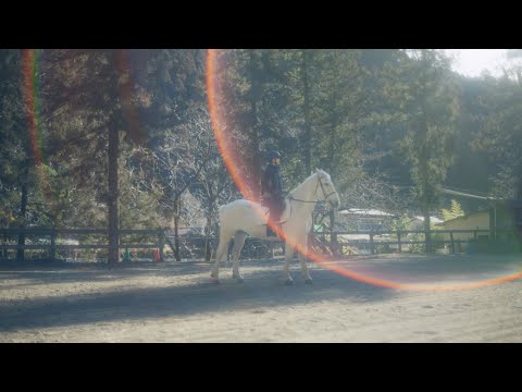 日向坂46 五期生「はじめまして、高井 俐香です。」