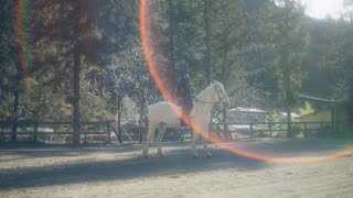 [日向] 五期生 高井 俐香