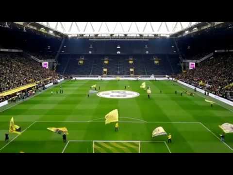 Koolhy - Bis die Stimmen verstummen (Fan made Video)