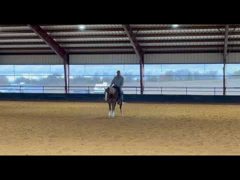 Gunnin For Chicks "Mark"