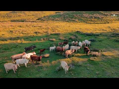 Cerro Alegre, Rivera, Uruguay. 09/03/2025