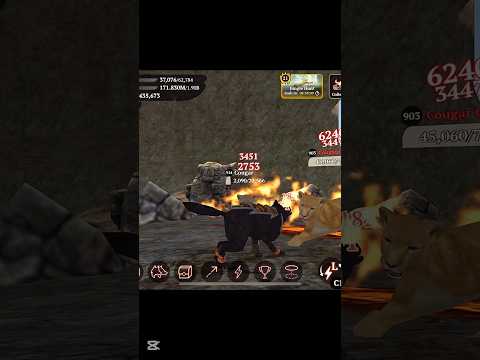 The Wolf-Cougar Champion In Featured Green Hills 🏆