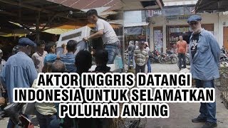 Video Viral Aktor Inggris Jauh-jauh Datang ke Indonesia untuk Selamatkan Puluhan Anjing